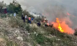 Hatay'da orman  yangını evlere sıçradı!