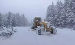 Ordu'da kar esareti: 4 kişi için arama çalışmaları sürüyor!