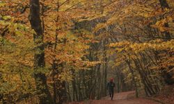 Belgrad Ormanı'nın İşletmesi devredildi!