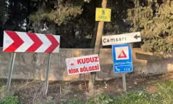 Hatay'da kuduz alarmı!