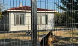 Tekirdağ'da cinayet: Emekli polis eşini boğarak öldürdü!