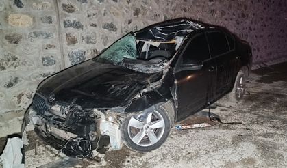 Otomobil ata çarptı: Metin Koçin öldü, 5 yaralı