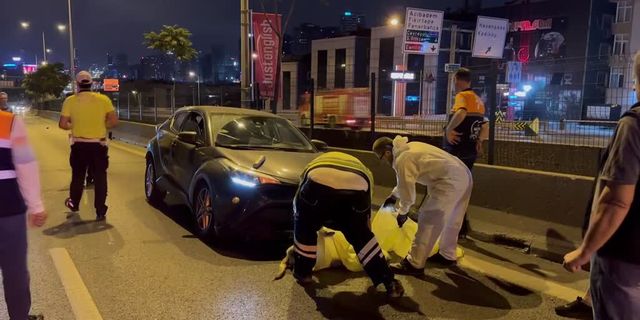 Kadıköy'de önce köpeğe sonra bariyere çarpan aracın sürücüsü Didem Elif Baş yaralandı