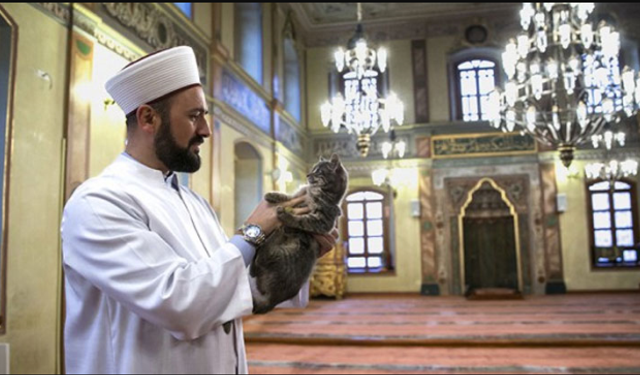 Gözaltına alınan imam Mustafa Efe'den son açıklama: Mekke'den duyurdu