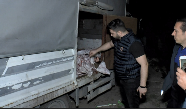 İstanbul'da at eti baskını: Kilolarca at eti bulundu 3 hayvan kurtarıldı!