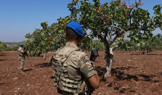 Hasat başladı: Jandarma havadan ve karadan denetim gerçekleştirdi!