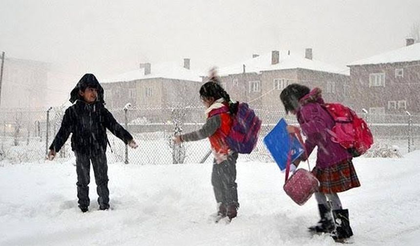 Olumsuz hava şartları nedeniyle birçok il ve ilçede okullar tatil edildi