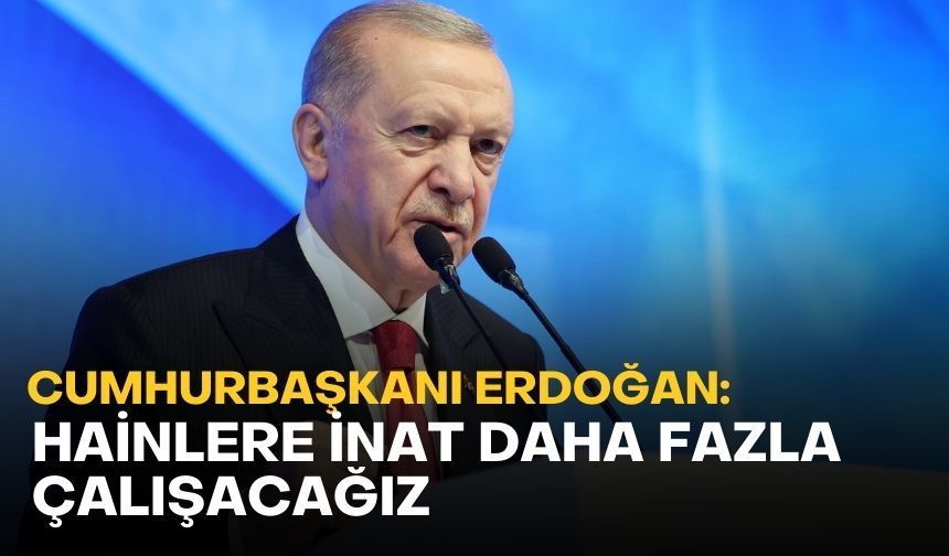 Cumhurbaşkanı Erdoğan: Hainlere inat daha fazla çalışacağız