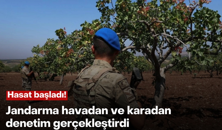 Hasat başladı: Jandarma havadan ve karadan denetim gerçekleştirdi!