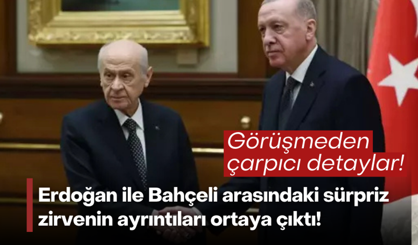 Erdoğan ile Bahçeli arasındaki sürpriz zirvesinin ayrıntıları ortaya çıktı