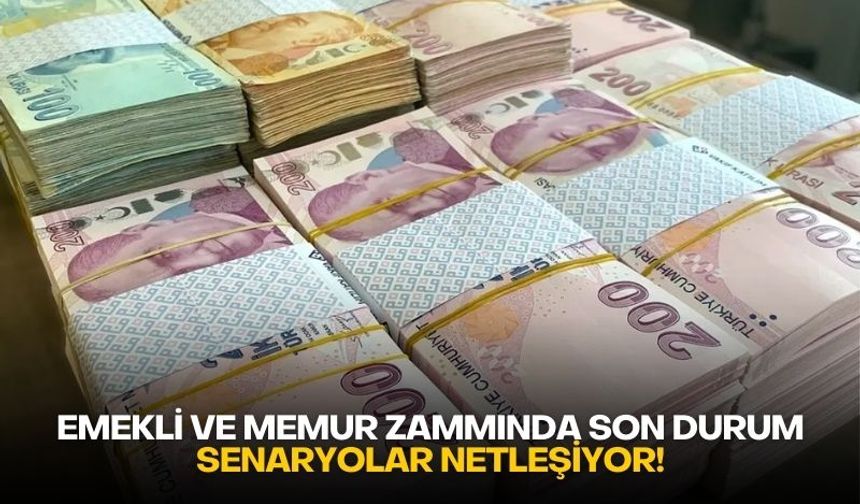 Emekli ve memur zammında son durum: Senaryolar netleşiyor!