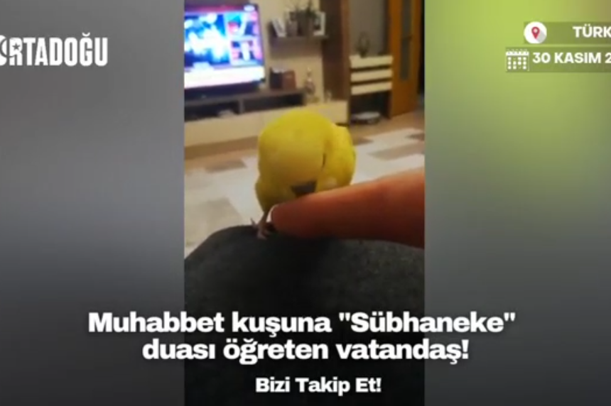 Muhabbet kuşuna 'Sübhaneke' öğreten vatandaş gündem oldu