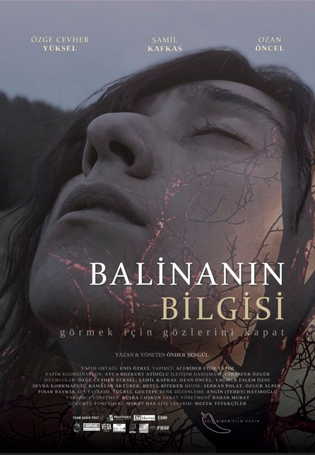 Balinanın Bilgisi